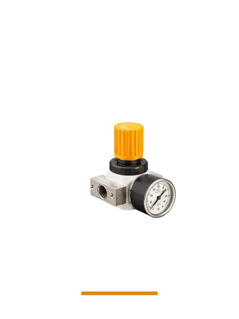 M-OR Serisi Regülatör M-OR-1/4-MINI 1/4"
